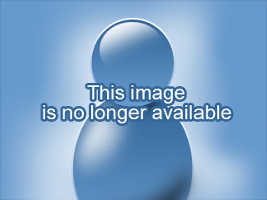 Kindly return and connect with internet based webcam for a good time